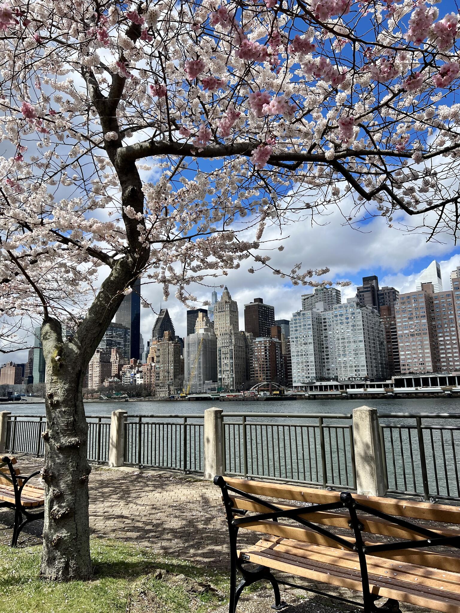 Roosevelt Island